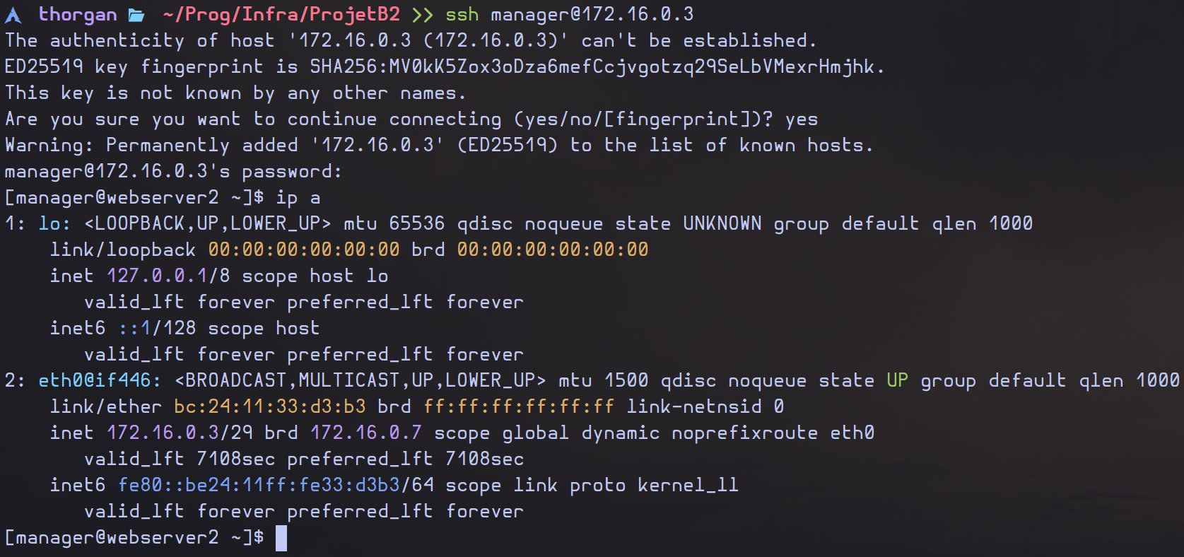 image-20250531215935772